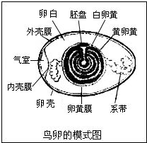 作业帮