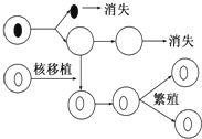 作业帮