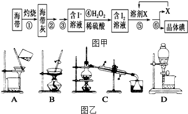 海带中含有丰富的碘,为了从海带中提取碘,某研究性学习小组设计并进行