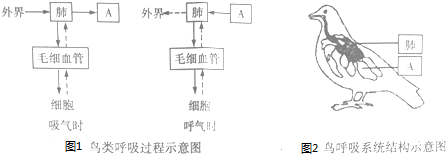 作业帮