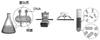 作业帮