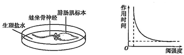 作业帮