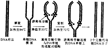 作业帮