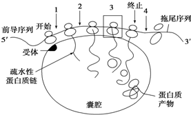 作业帮