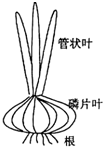 作业帮