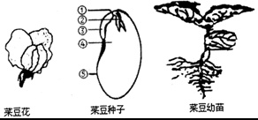 作业帮