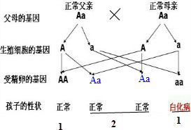 作业帮