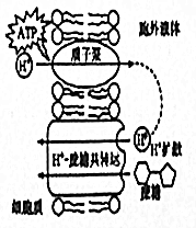 作业帮