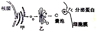 作业帮