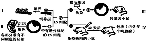 作业帮