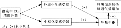 作业帮