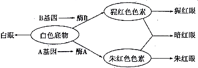 作业帮