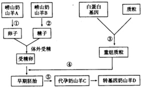 作业帮