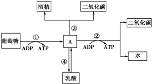 作业帮