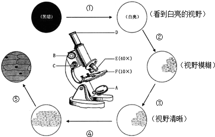 作业帮