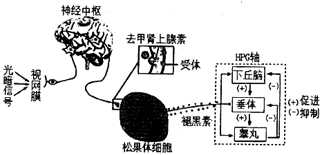 作业帮