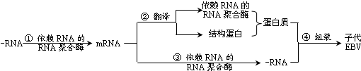 作业帮