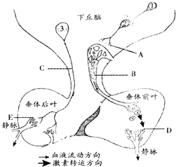 作业帮