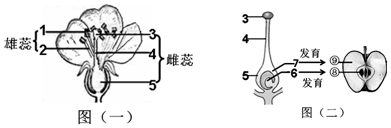 作业帮