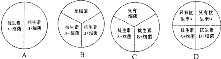 作业帮