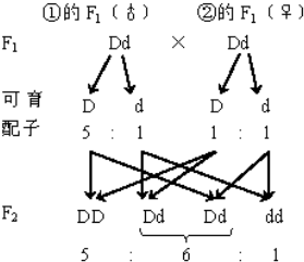 作业帮