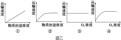 作业帮