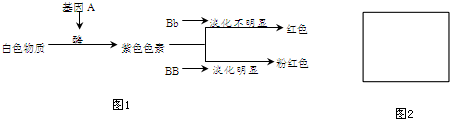 作业帮