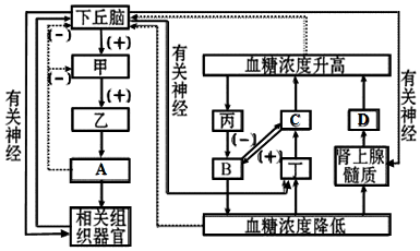 作业帮