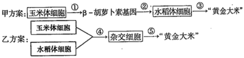 作业帮