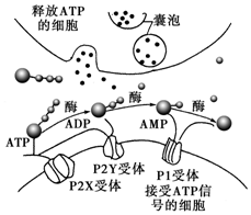 作业帮