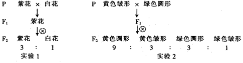 作业帮