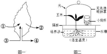 作业帮