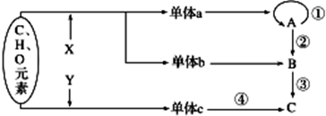 作业帮