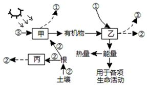 作业帮