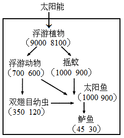 (2008杭州模拟)下图方框内为某人工池塘生态系统的主要食物链,括号内