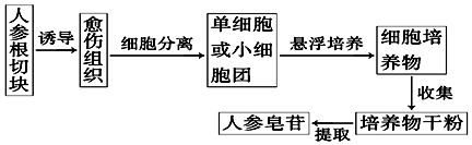 作业帮