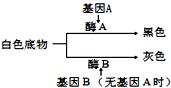 作业帮