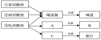 作业帮