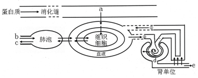 作业帮