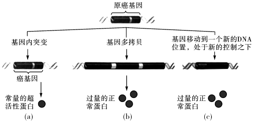 作业帮