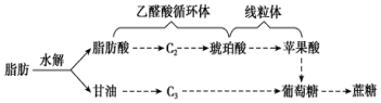 作业帮