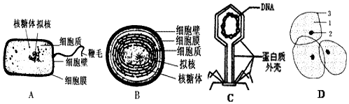 作业帮