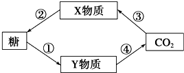 作业帮