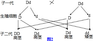 作业帮