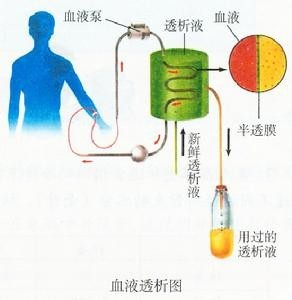 作业帮