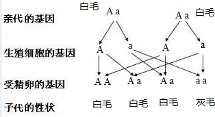 作业帮