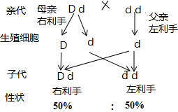 作业帮