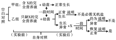 作业帮