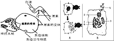 作业帮