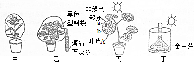 作业帮